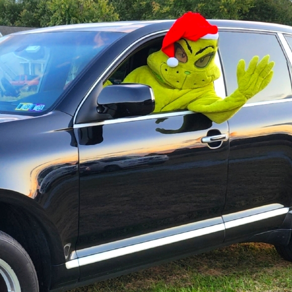 The Grinch Costume - Picture 4 of 12